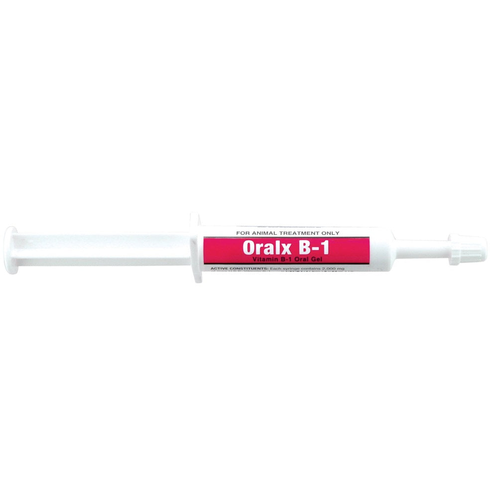 Oralx Vitamin B-1 | 6ml