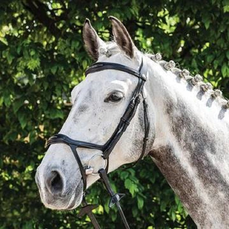 Bridles