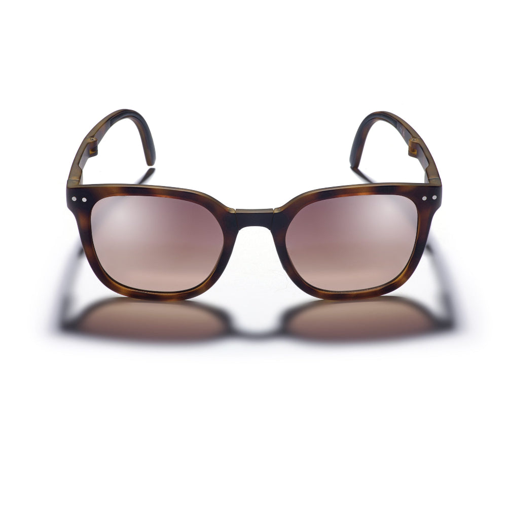 Gidgee Sunglasses | Canter | Tortoise