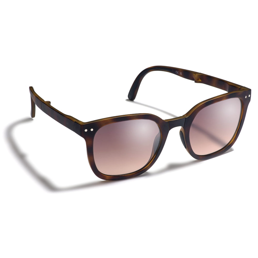 Gidgee Sunglasses | Canter | Tortoise