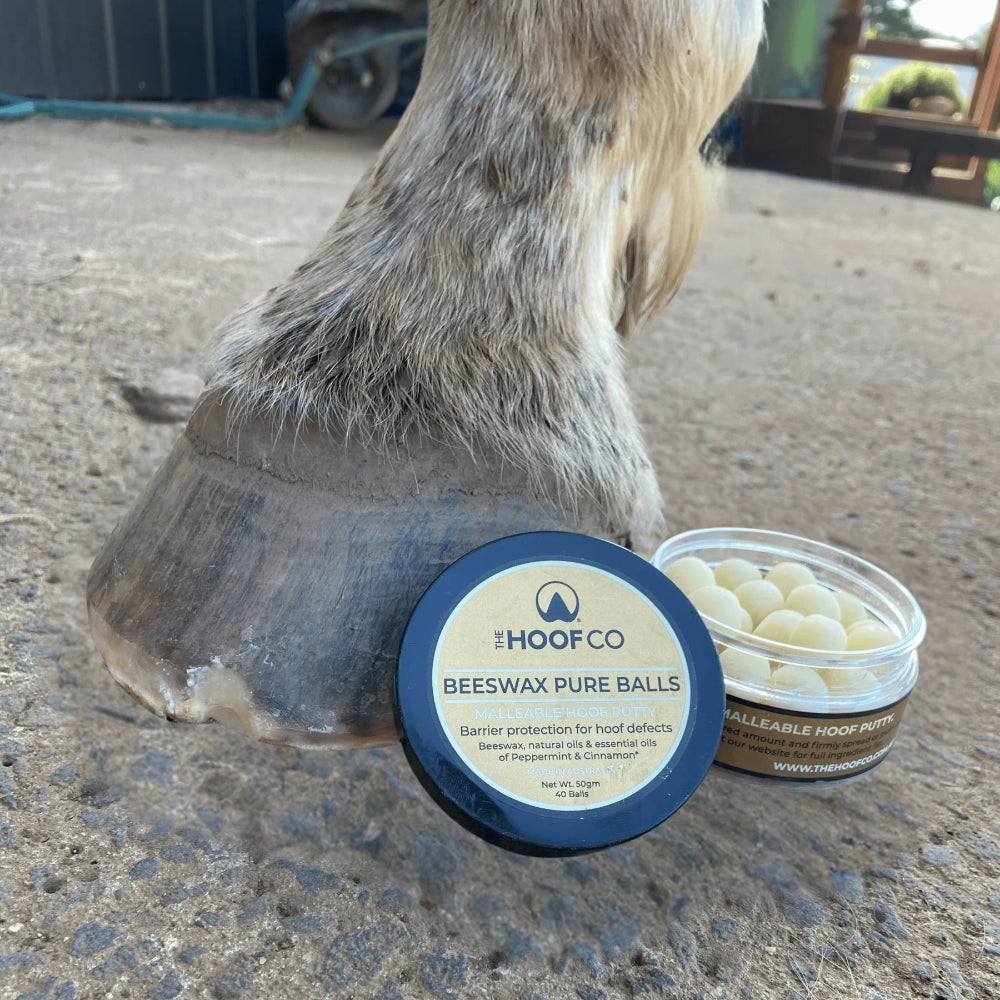 The Hoof Co. Beeswax Pure Balls 40