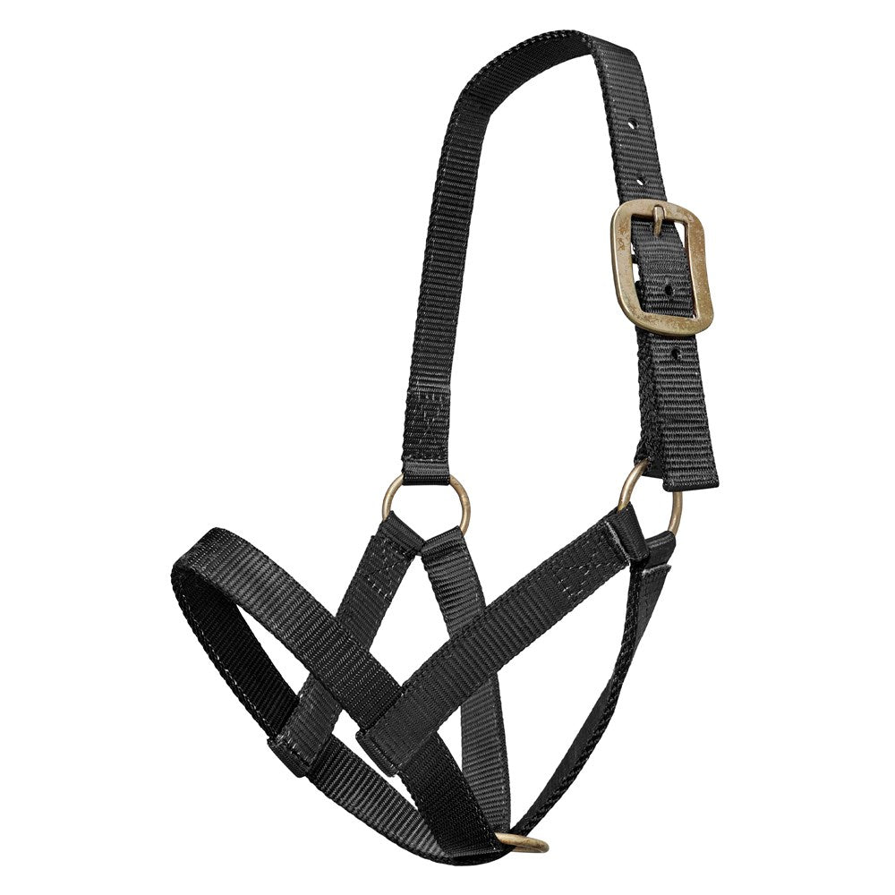 Nylon Cattle Halter | Assorted Colours
