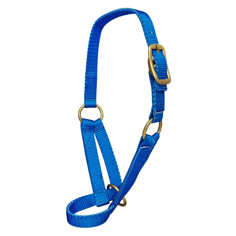 Nylon Cattle Halter | Assorted Colours
