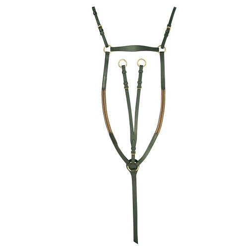 Jeremy & Lord Eventing Martingale