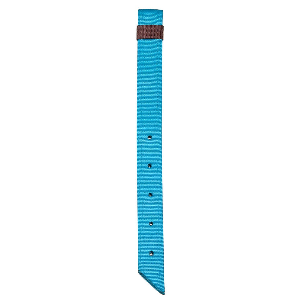 Ezy Ride Plain Latigo | Offside | Turquoise