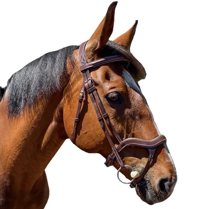 Grainge Eventing Bridle | Brown / Beige Piping