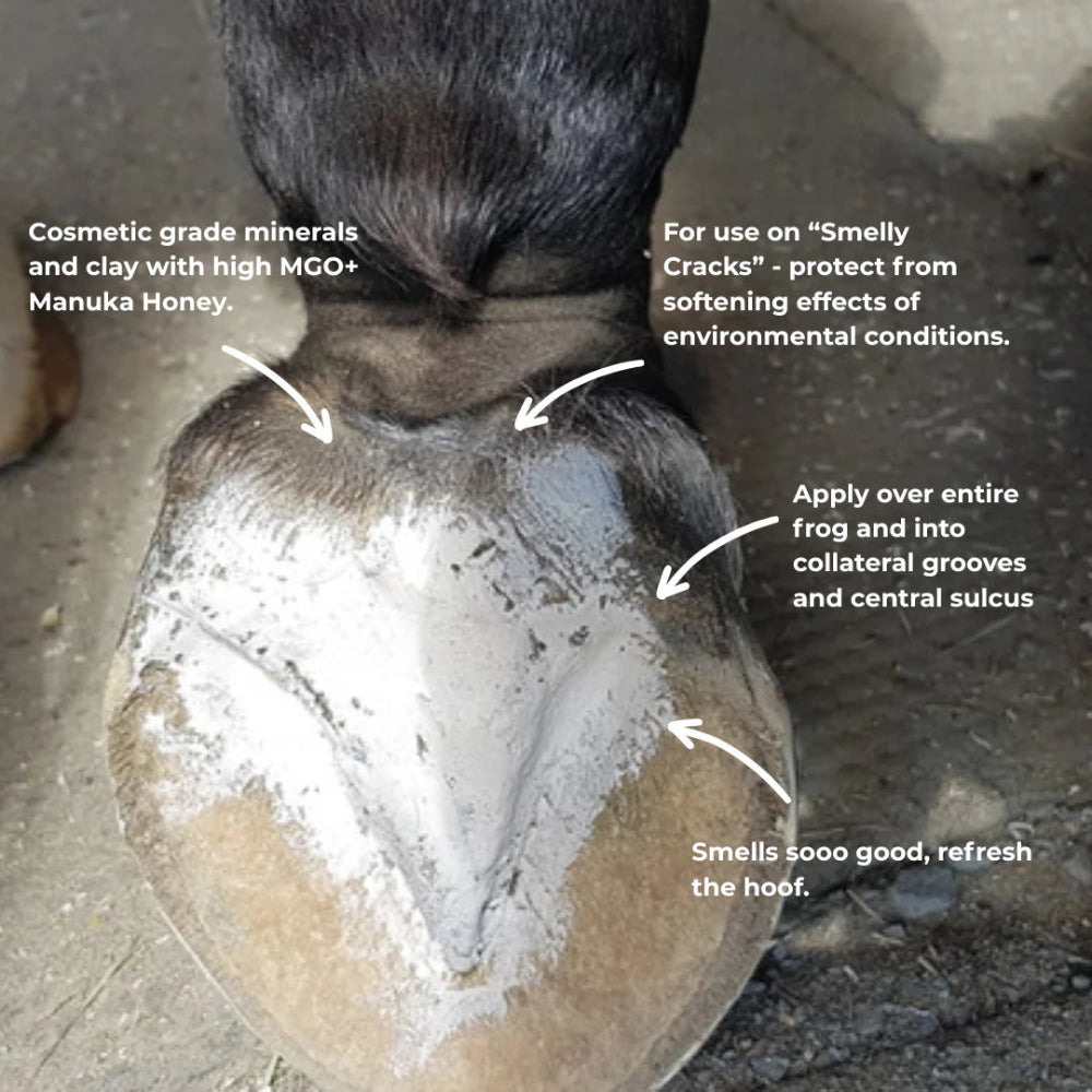 THE HOOF CO. HOOF PACK 200G