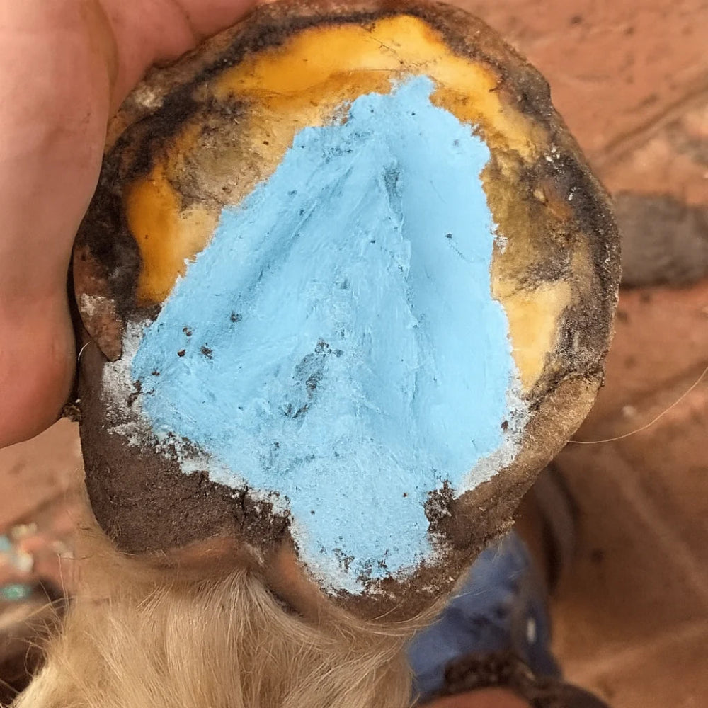 THE HOOF CO. HOOF CARE PASTE BLUE 140G