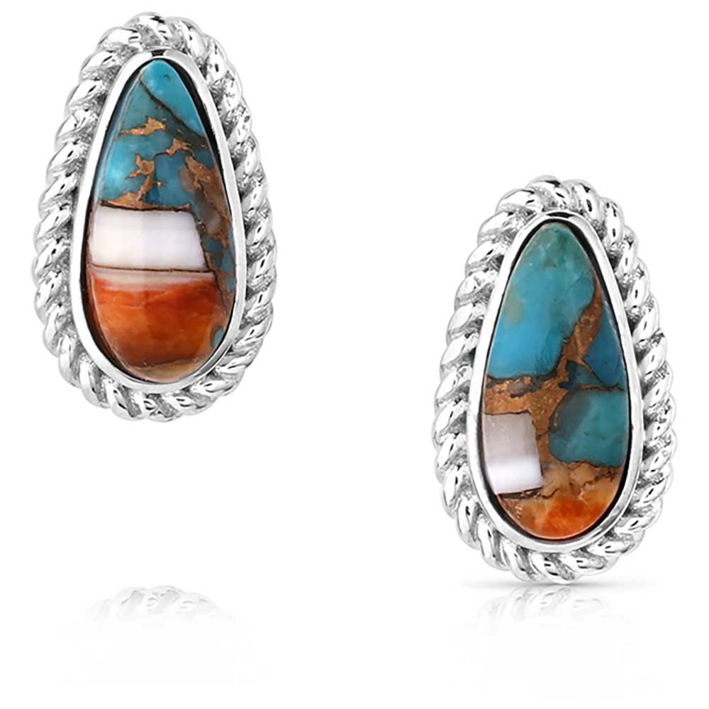 Montana Silversmith Earrings | Mountain Glacier Treasure