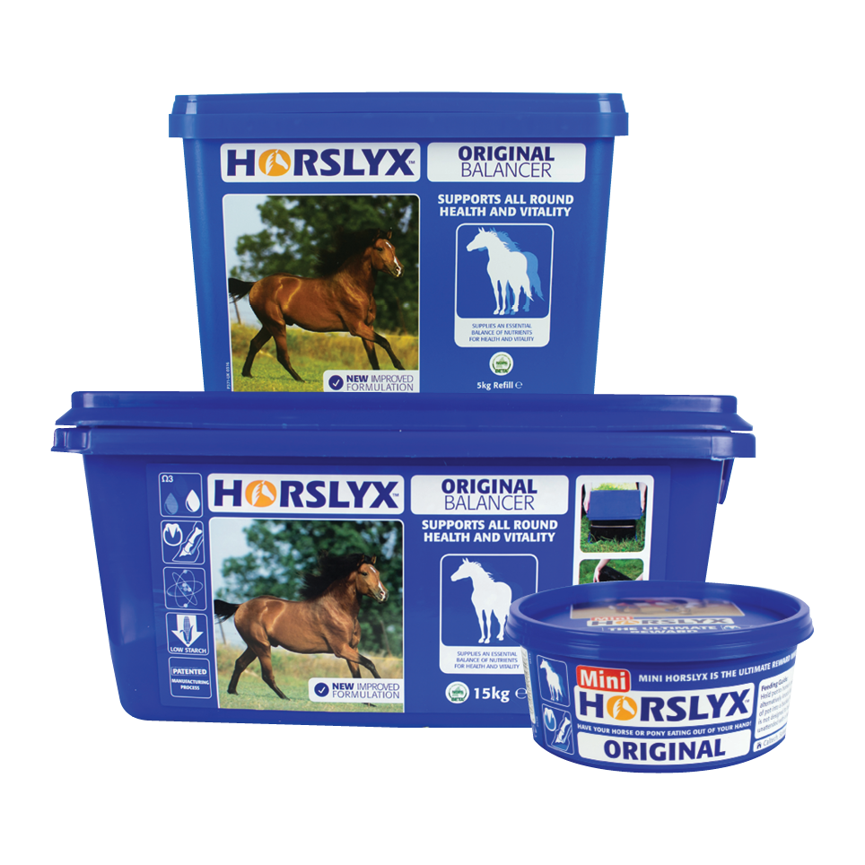Horslyx Original Balancer Lick 5kg