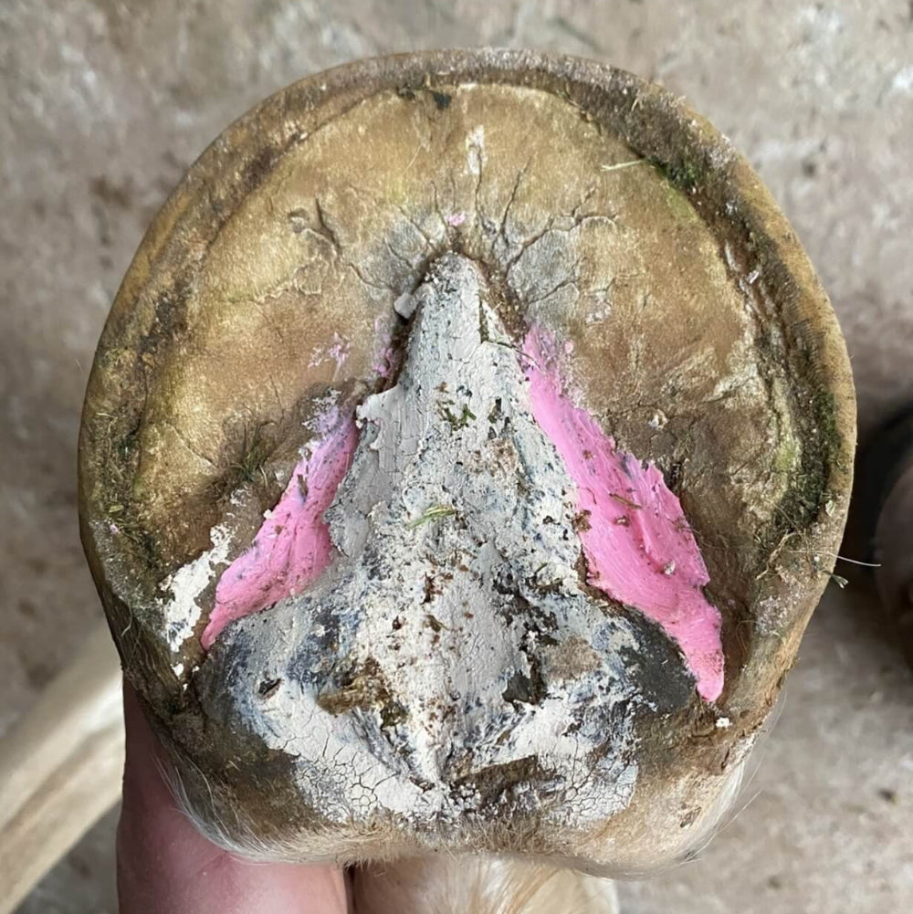 The Hoof Co.Beeswax Pink Balls