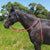 Nungar Knots Split 2m Reins Assorted Colours