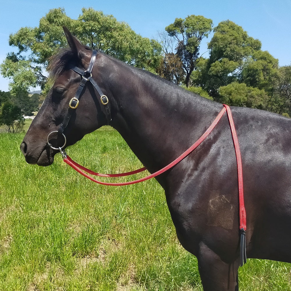 Nungar Knots 3m Reins | Stainless Steel Clips | Assorted Colours