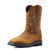 Ariat Mens Boots | Sierra Shock Sheild | Distressed Brown