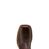 Ariat Womens Western Boots | Showdown | Expresso / Textured Blue
