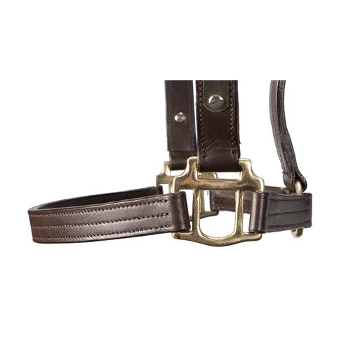THOROUGHBRED NAMEPLATE HALTER C BRN