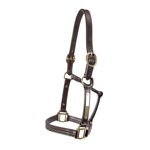 THOROUGHBRED NAMEPLATE HALTER C BRN