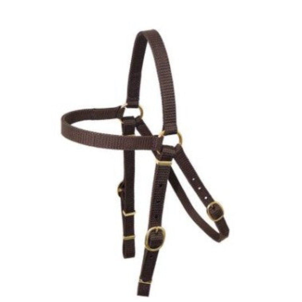 Toowoomba Saddlery Barcoo Bridle | Nyla Web | Brown | Cob