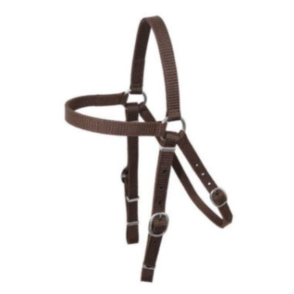 Toowoomba Saddlery Barcoo Bridle | Nyla Web | Brown | Cob