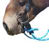 Nungar Knots Split 2m Reins Slobber Straps