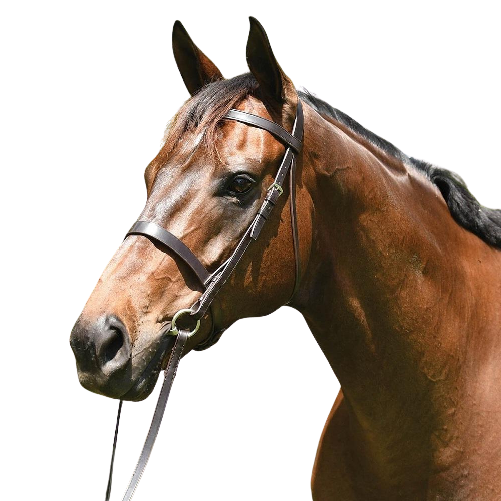 Grainge Elite Show Snaffle Bridle