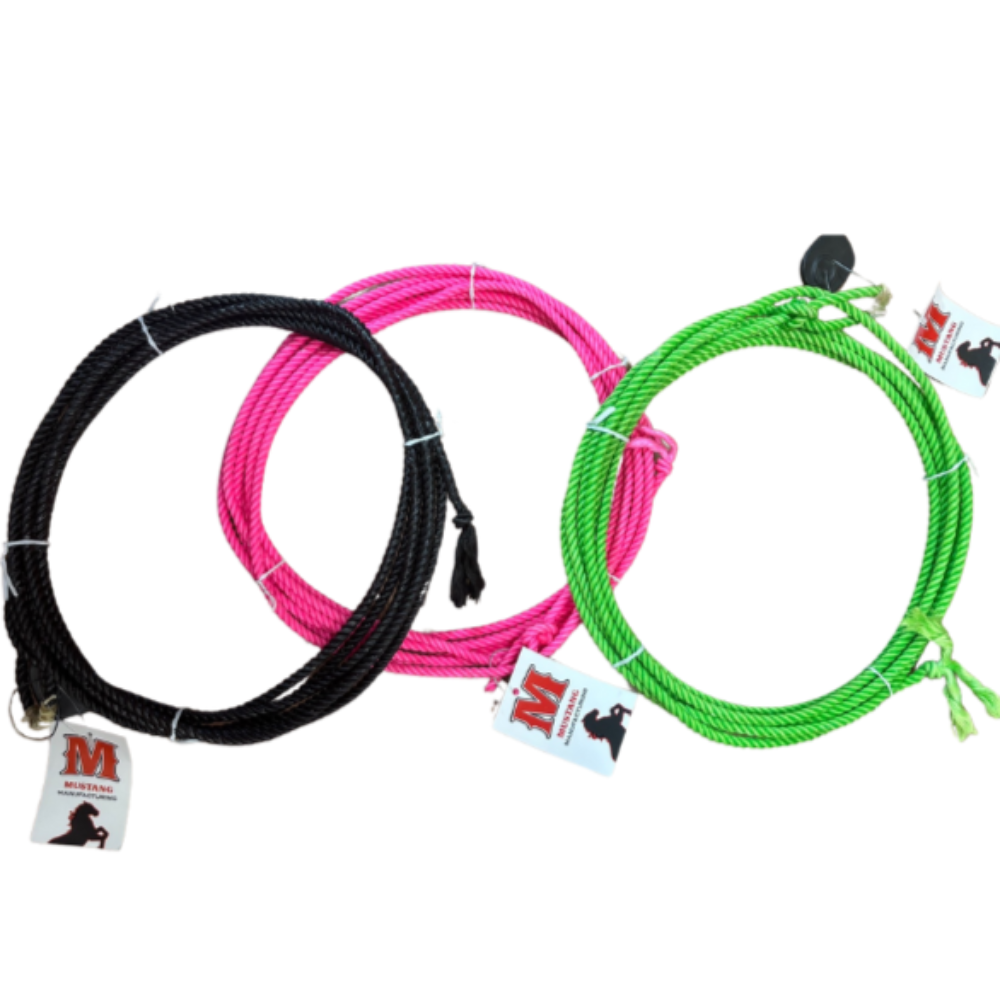 EZY RIDE LITTLE LOOPER 5/16 20 KIDS ROPE TURQ