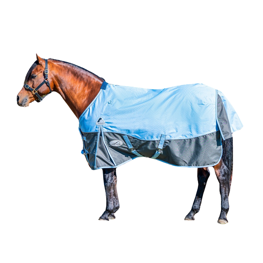 Eurohunter Hotham Rug