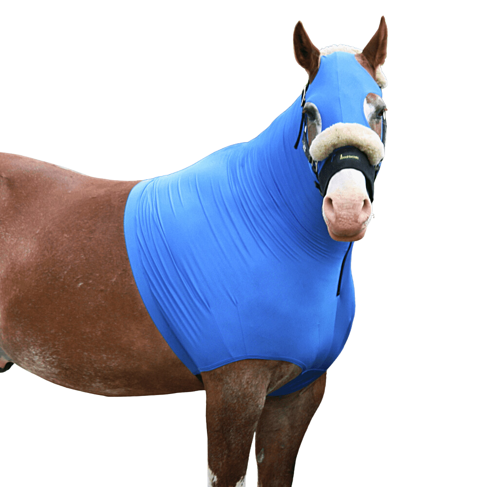 HorzeHood | No Ears | Assorted Colours