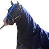 Earlwood Hood | Pull On | Assorted Colours