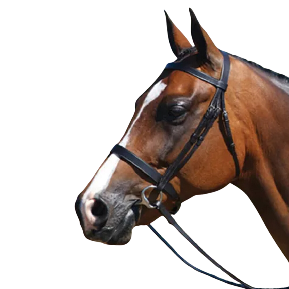 Grainge Elite Show Snaffle Bridle