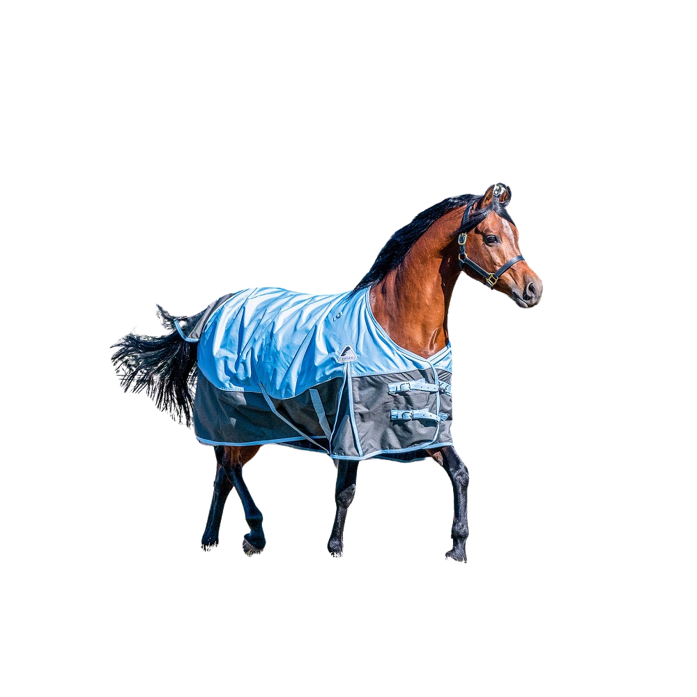 Eurohunter Hotham Rug