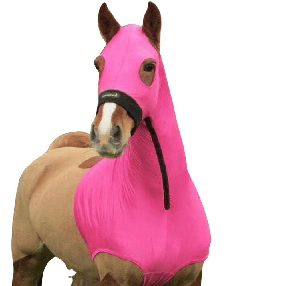 HorzeHood | No Ears | Assorted Colours