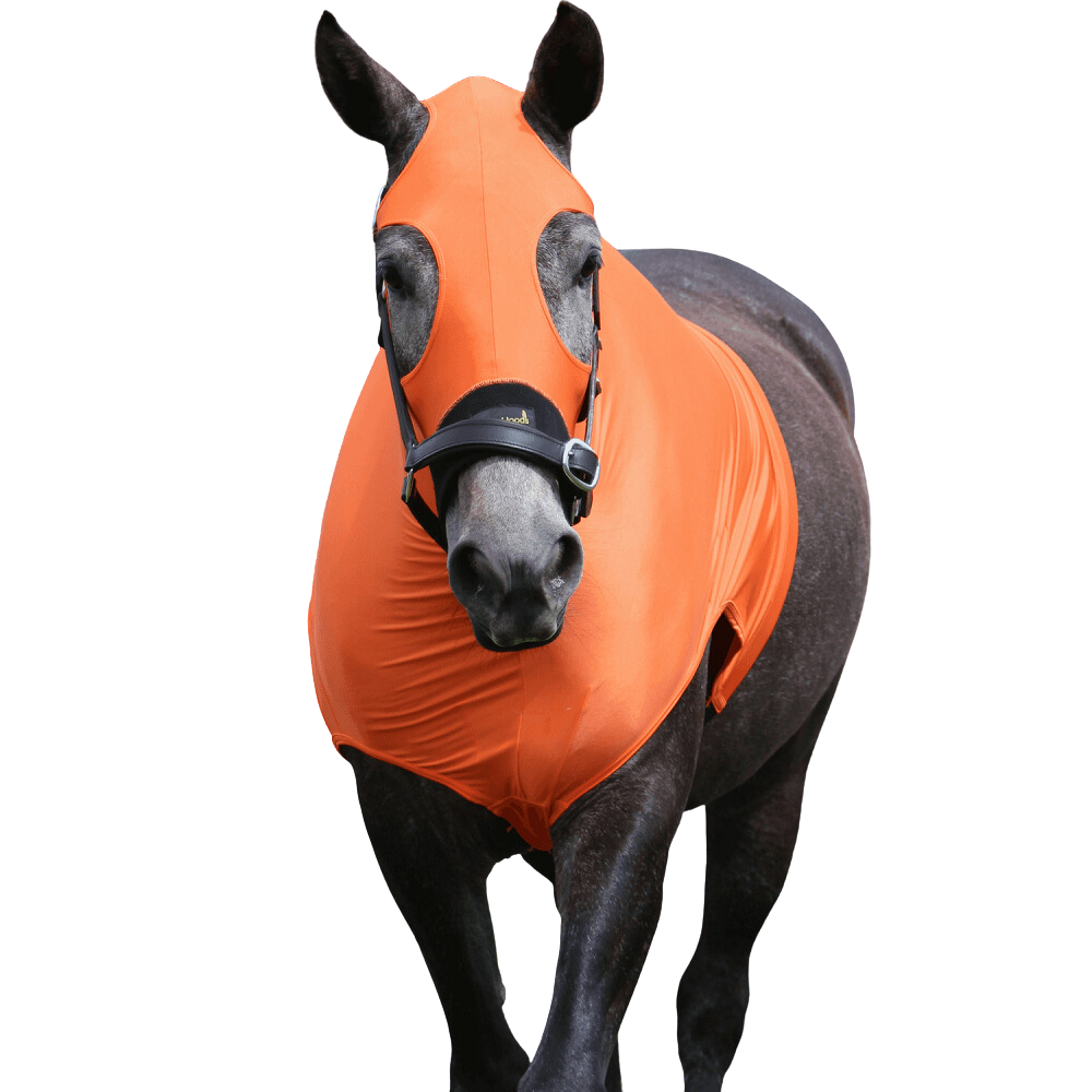 HorzeHood | No Ears | Assorted Colours