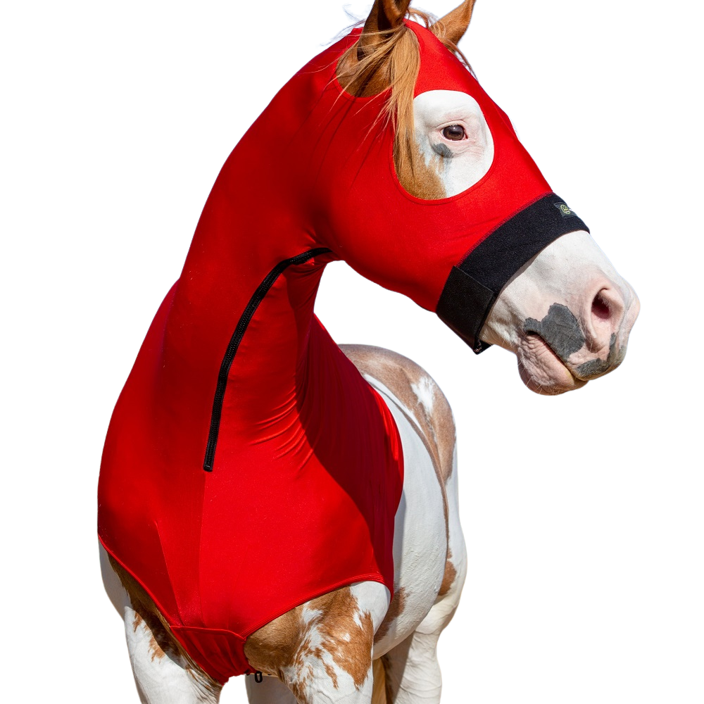 HorzeHood | No Ears | Assorted Colours