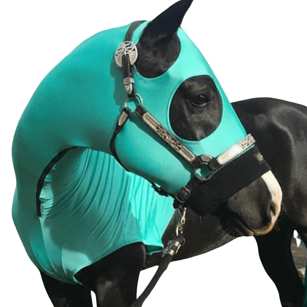 HorzeHood | No Ears | Assorted Colours