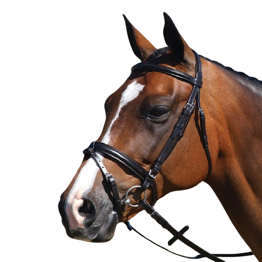 Grainge Elite Event Snaffle Bridle