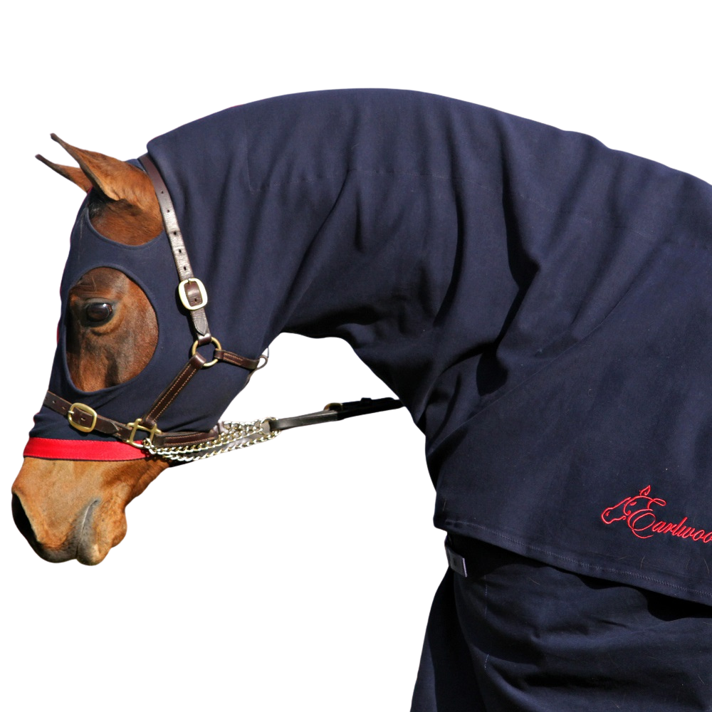 Earlwood Hood | Pull On | Assorted Colours