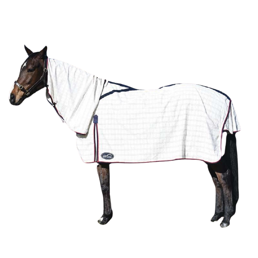 Eurohunter Brisa Combo