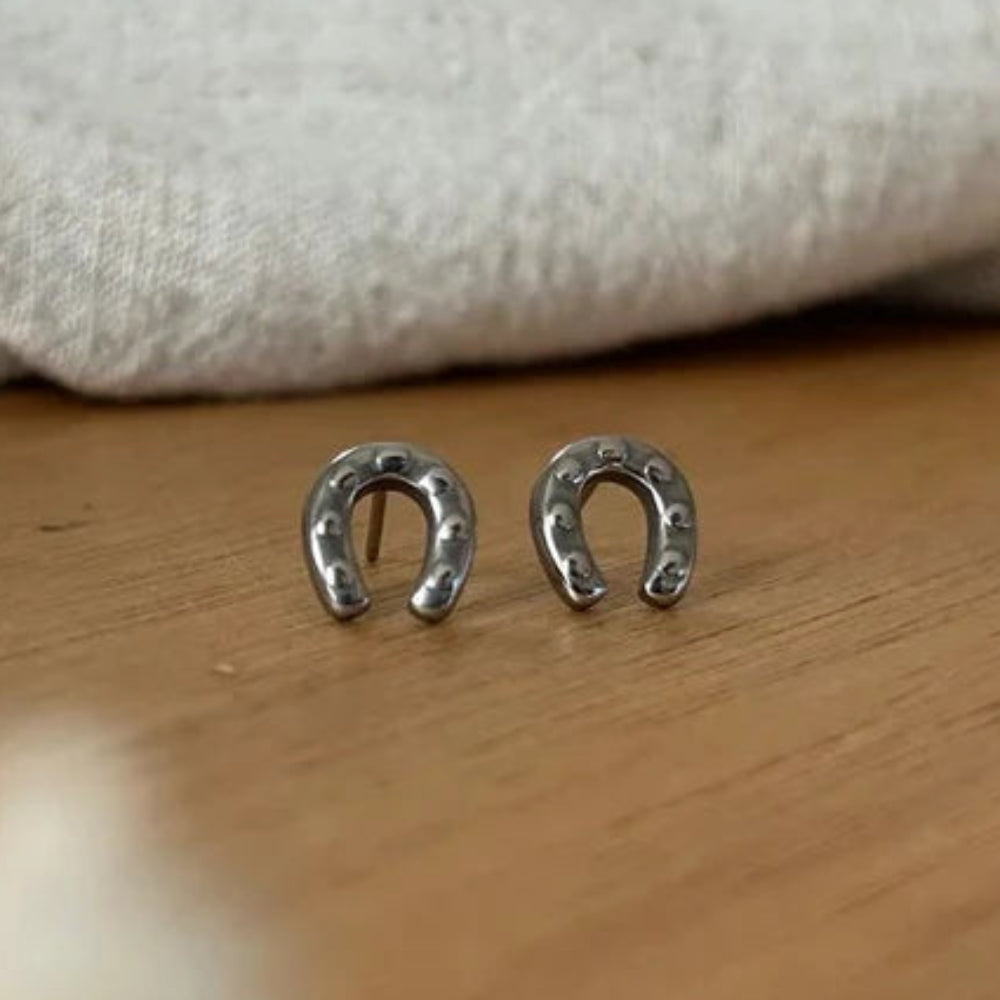 Cary Earrings | Steel