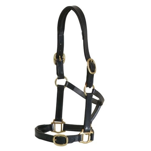 Grainge Elite Leather Halter | Black