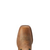 Ariat Yth Firecatcher Dist Brn/Alfalfa