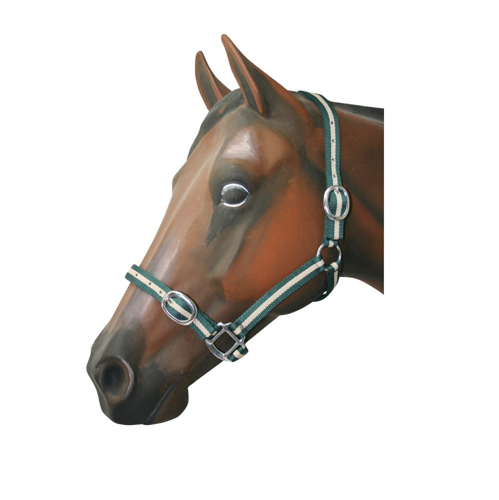 Web Halter | Nickel Fittings