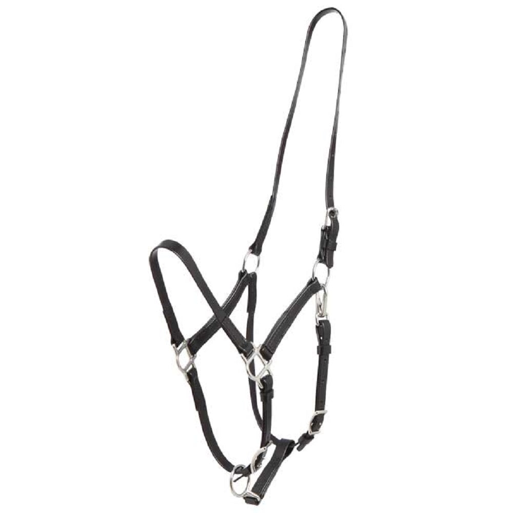 Deluxe Endurance Halter | Arab