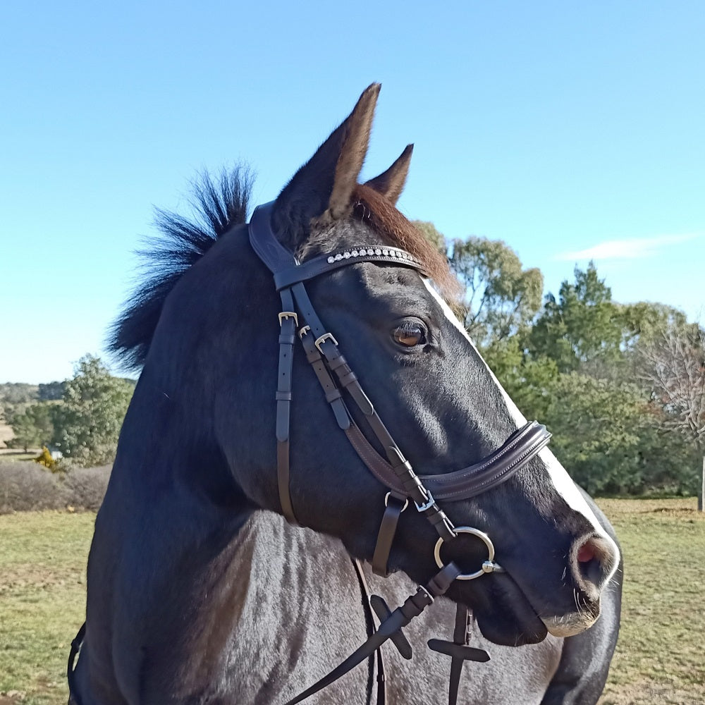 HKM Anatomic Bridle | Crystal Brownband