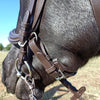 HKM Anatomic Bridle | Crystal Brownband