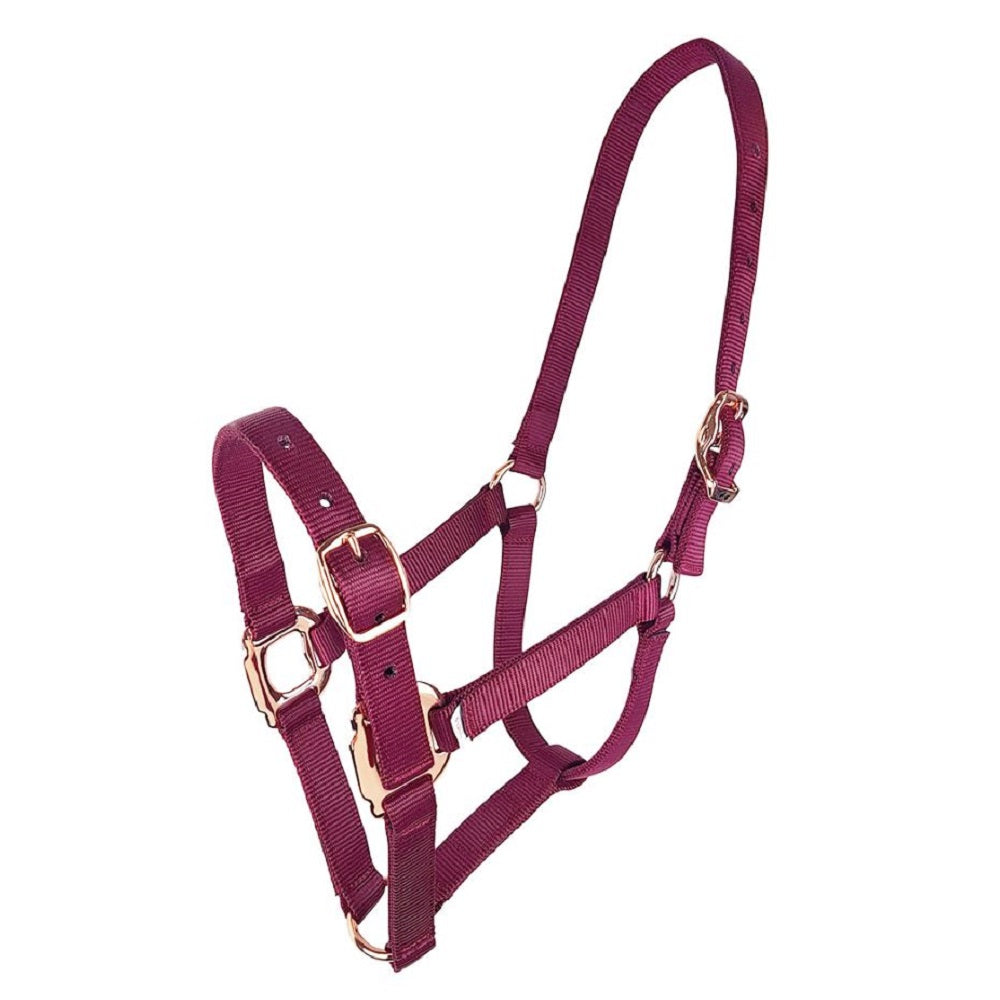 Estate Nylon Halter | Assorted Colours