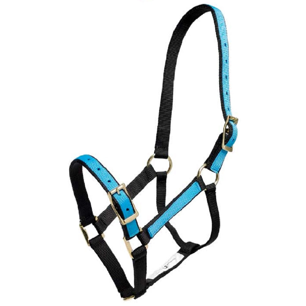 Overlay Halter | Assorted Colours