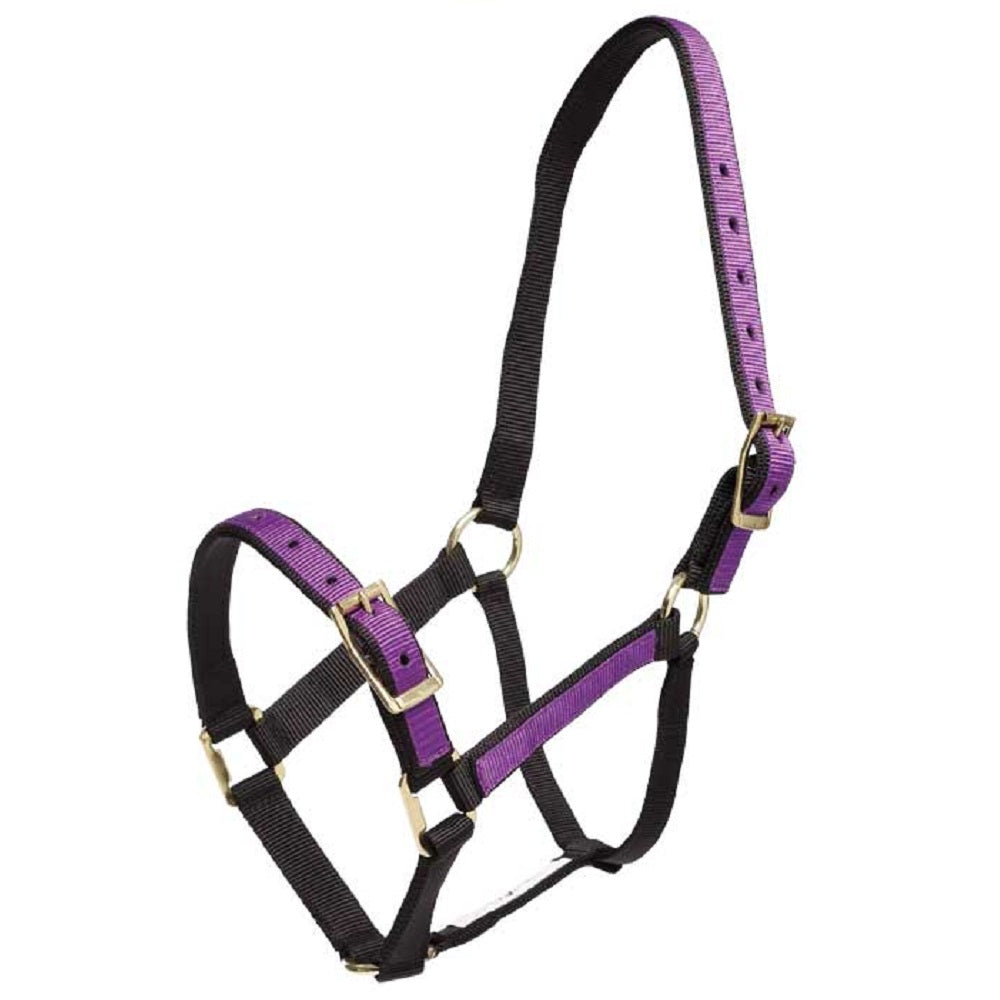 Overlay Halter | Assorted Colours