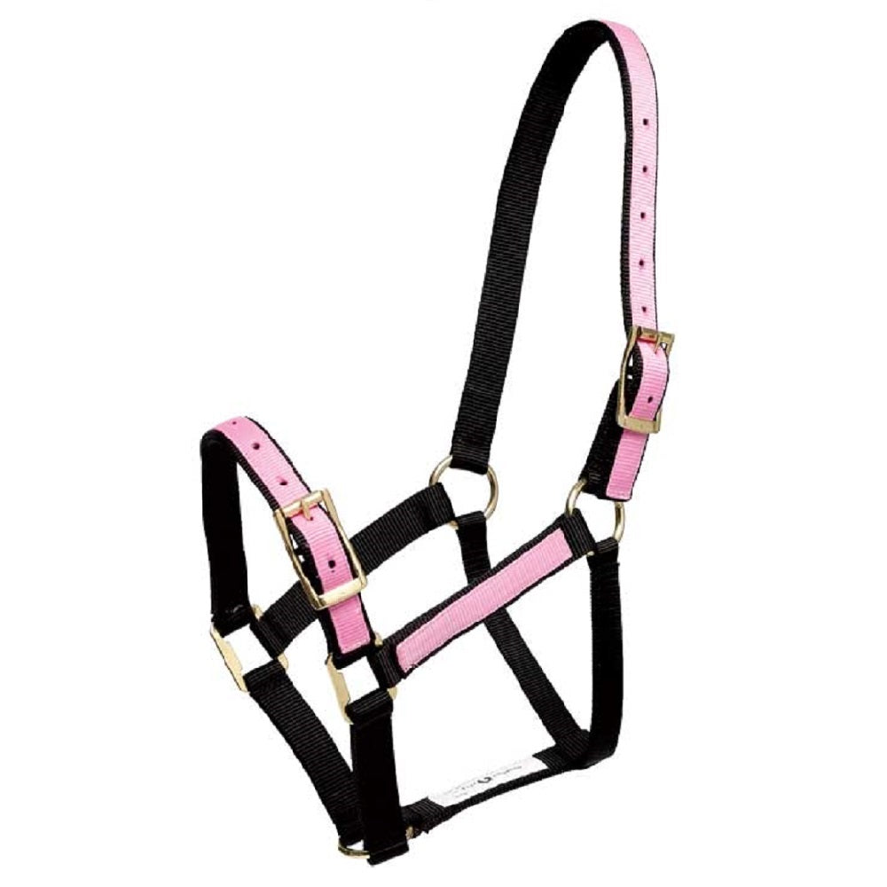 Overlay Halter | Assorted Colours