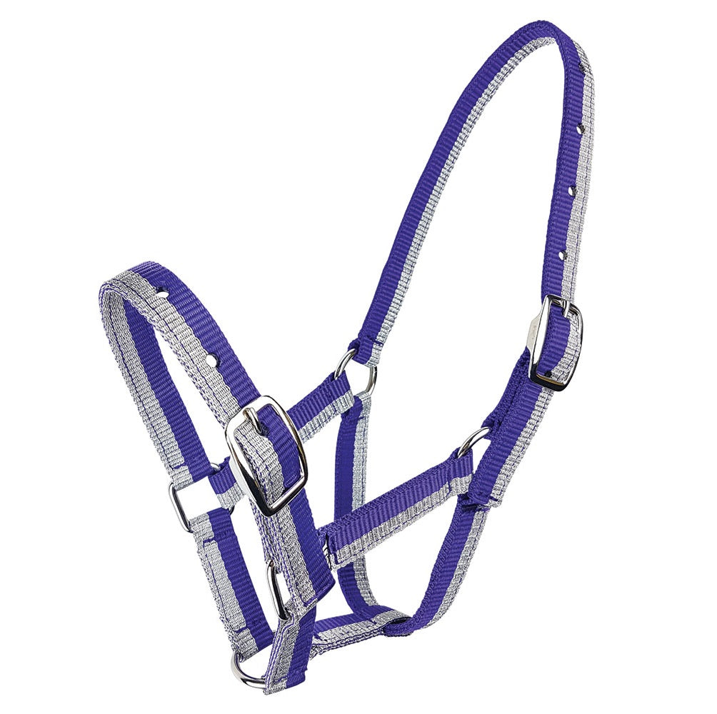 Sparkle Foal Halter